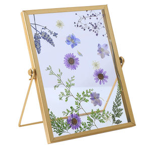 Nordic Style Creative Golden Geometrical Embossing Diy Plant Specimens Metal Glass Photo Frame For Home Decor